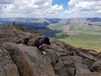 Mount Bierstadt (63).jpg